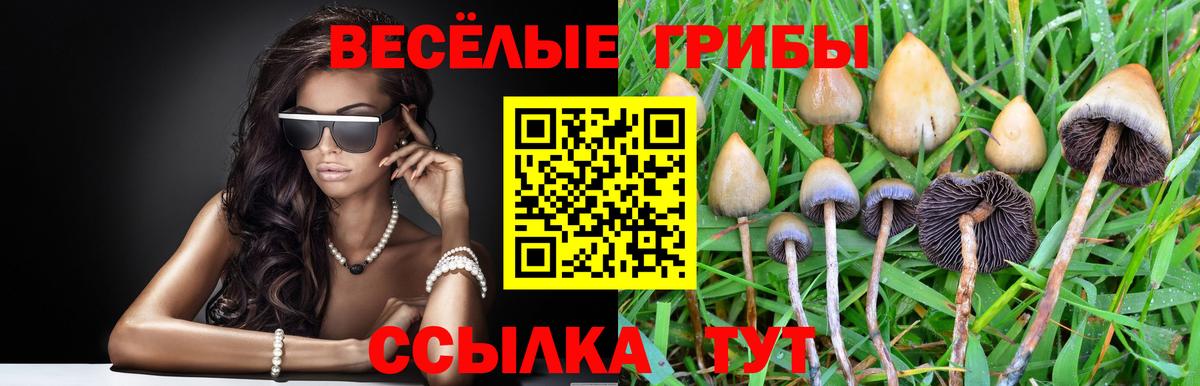 ГАШ  Вязьма  Мефедрон   АМФ кристаллы  Лсд 25  Вход с VPN  Канабис 